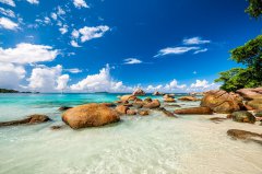 塞舌爾公司注冊全攻略：關鍵要點與注意事項