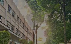 柬埔寨開工廠，難度究竟藏在哪?