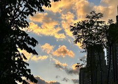 2025上半年，中國(guó)企業(yè)出海刷新全球副本：更猛、更強(qiáng)、更聰明