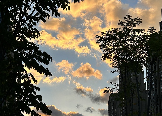 泰國(guó)公司法定代表人國(guó)籍要求解析